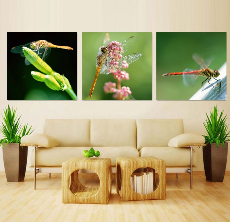 3 Panel Wall Art Oil Painting Dragonfly Painting Home Decoration Canvas Prints Pictures for Living Room Mc-260