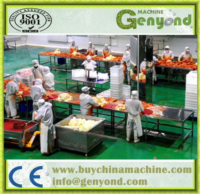 Full Automatic Pickle Manufacturing Machines