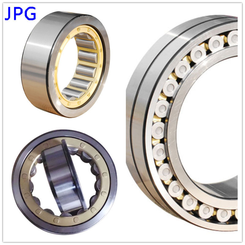 Cylindrical Roller Bearing (NU204E 32504E N204E NF204E NJ204E NUP204E)