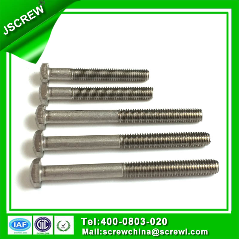 Screw Manufacture Produce Custom Design Special Screw Bolt