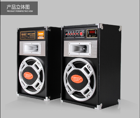 10 Inch manufacture Audio Professional 2.0 Speaker 6010