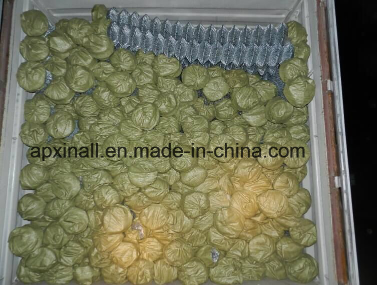 Rockfall Netting /Hexagonal Wire Netting