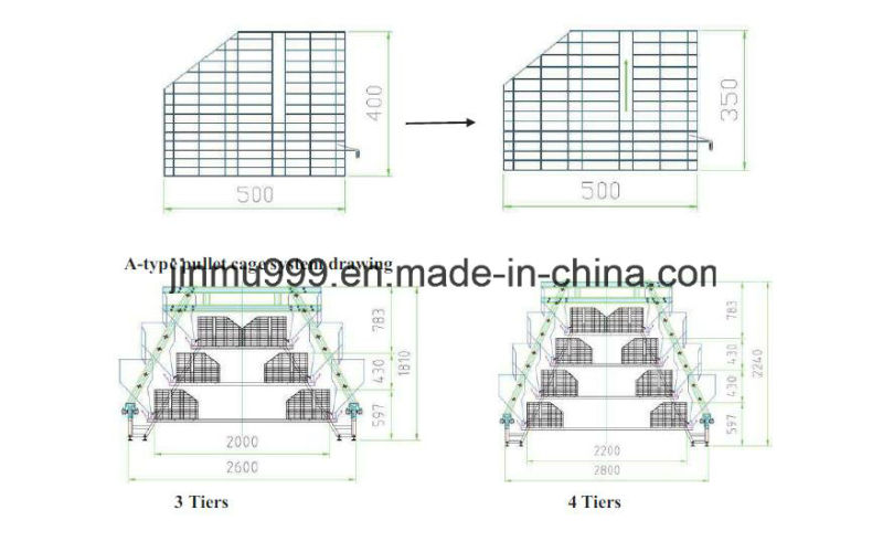 Automatic Pullet Chicken Birds' Poultry Cages for Farm Use