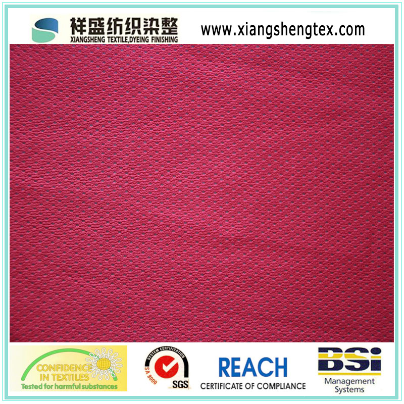 5X1 FDY Eyelet Mesh Fabric