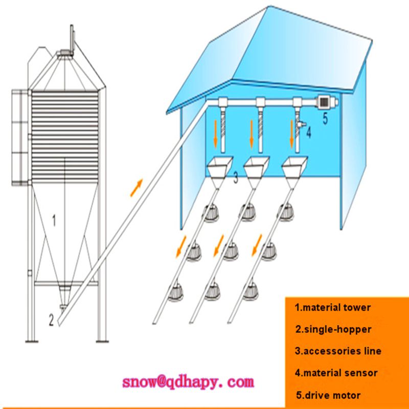 Prefab Steel Construction House for Chicken Raising