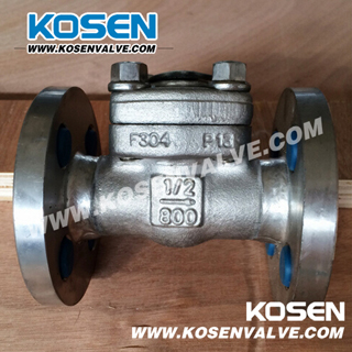 Flanged Ends Check Valve (H41W)