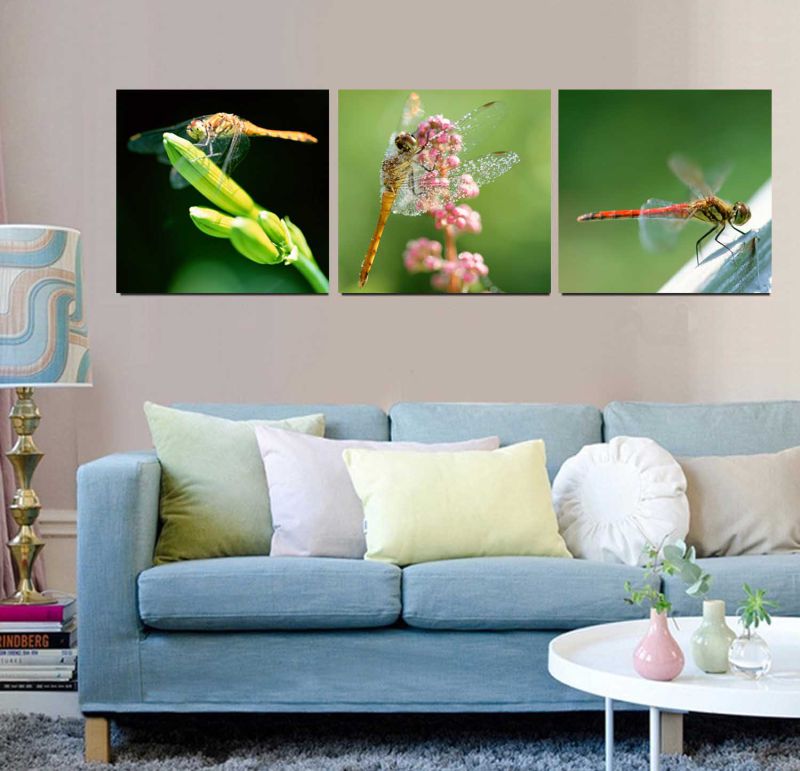 3 Panel Wall Art Oil Painting Dragonfly Painting Home Decoration Canvas Prints Pictures for Living Room Mc-260