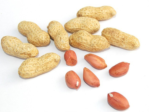 2015 Crop Raw Peanut / Peanuts