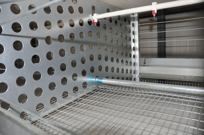 Galvanization Automatic Breeder Chicken Cage System (H type)