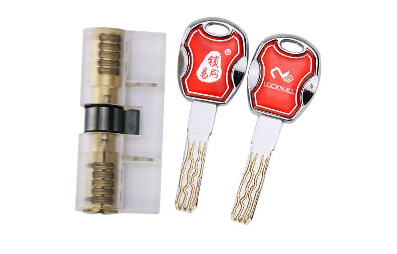 Transparent Practice Cylinder Lock Core with 8 Tracks Keys for Locksmith Training