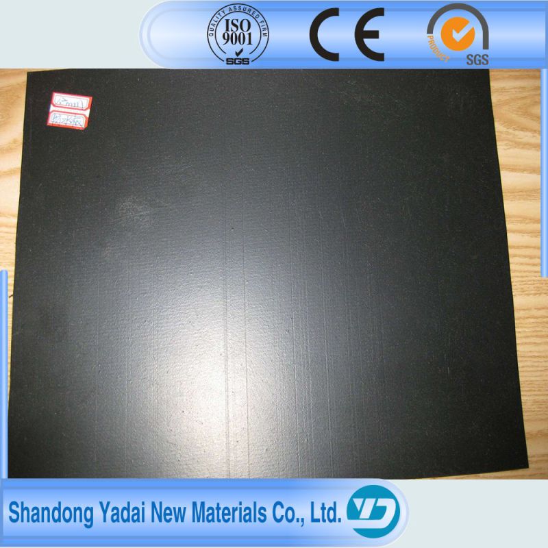 Water Proof Material Fish Farm Swimming Pool Shrimp Farm HDPE Geomembrane Membrane