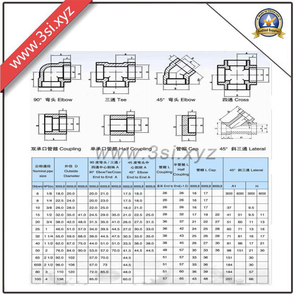 Stainless Steel Forged Pipe Fittings (YZF-L029)