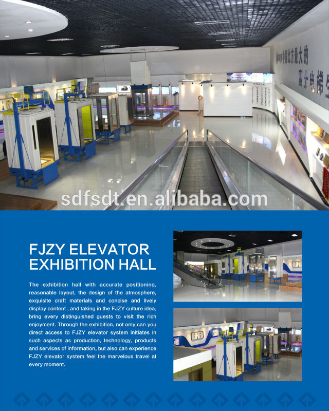 Shandong Fjzy Passenger Elevator with Small Machine Room