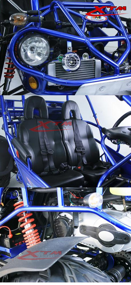 EPA/EEC Road Legal 300cc 2 Seat Automatic Dune Buggy