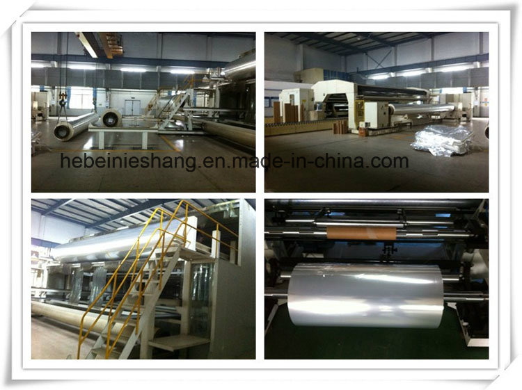 High Quality BOPP Film Supplier