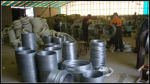 High Quality Welded Razor Wire Fence for Sale