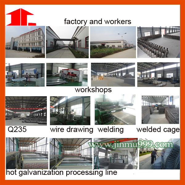 a Type Auutomatic Broiler Poultry Equipment Chicken Cage with High Quality