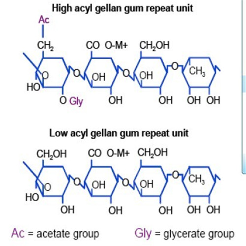 High Quality Bp Low Acyl Gellan Gum in Sausage