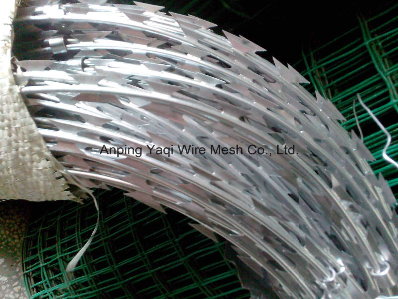 High Tensile 900m Coil Razor Barbed Wire Factory Low Price