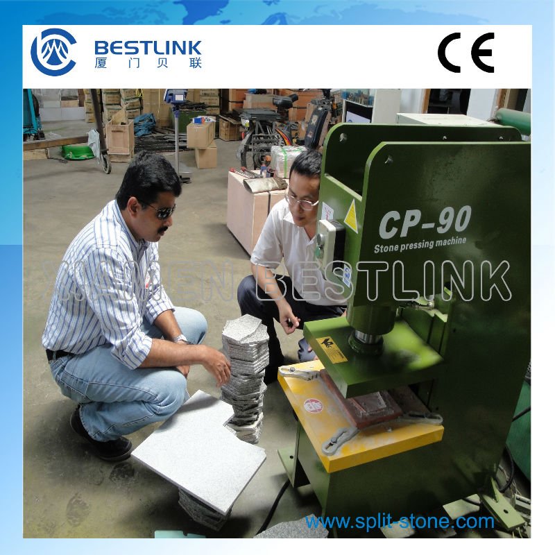 Various Shape Granite Paver Stamping Pressing Machine