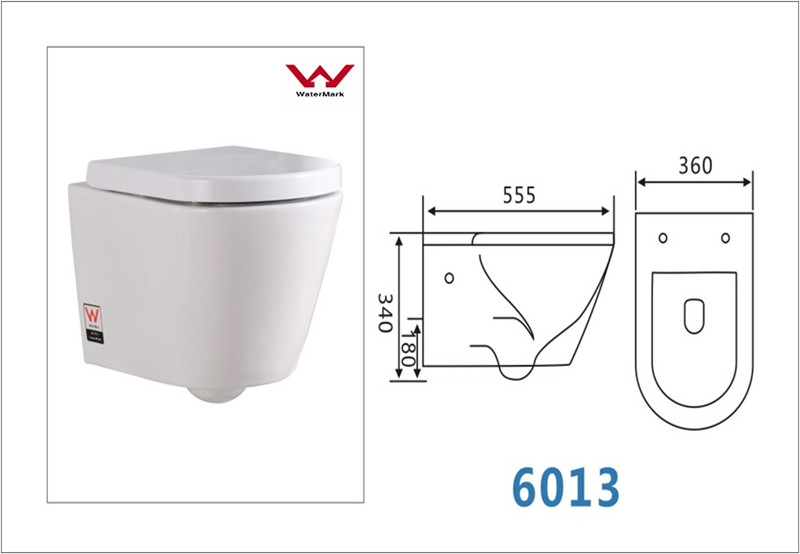 Wall Hung Toilet Without Cistern/Watermark Standard Toilet (CVT6013)