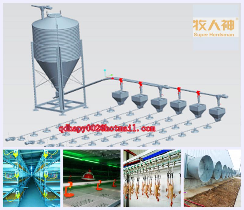 Automatic Poultry Equipment with Prefabricated House Construction