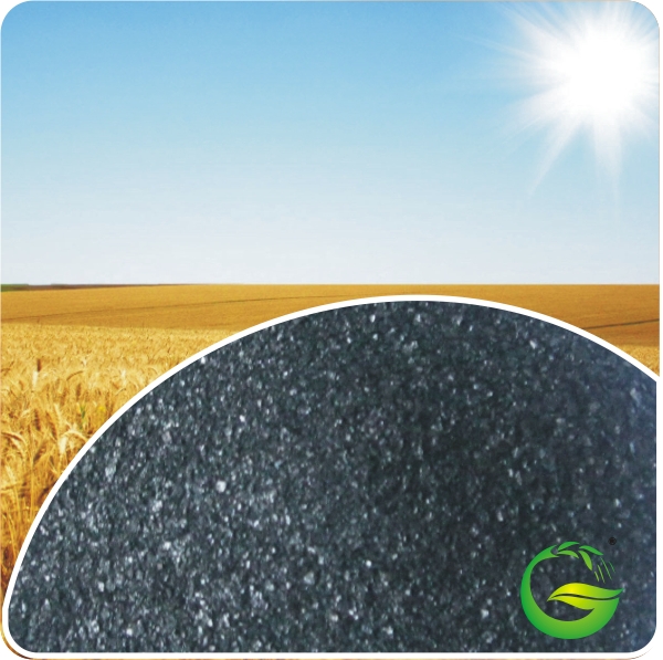 Super Potassium Humate Organic Fertilizer