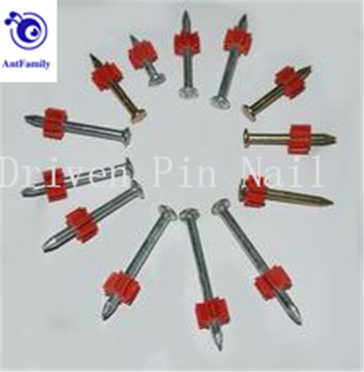 High quality Driven Pin/Galvanized Shoot Nail