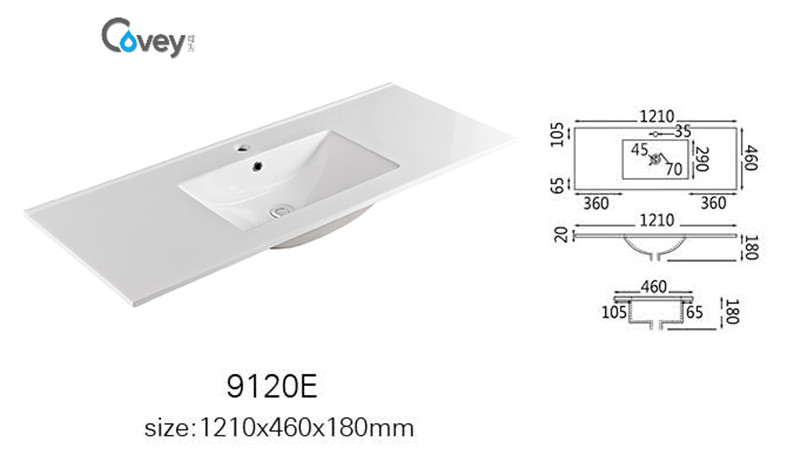 Popular in America/Canada Bathroom Vanity/Basin/Sink (A-9120E)