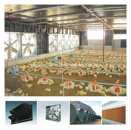 Full Set Poultry Farm Equipment for Chicken Production