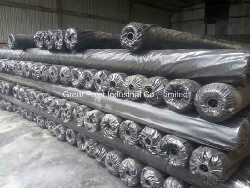 Plastic Woven Geotextile for Dam