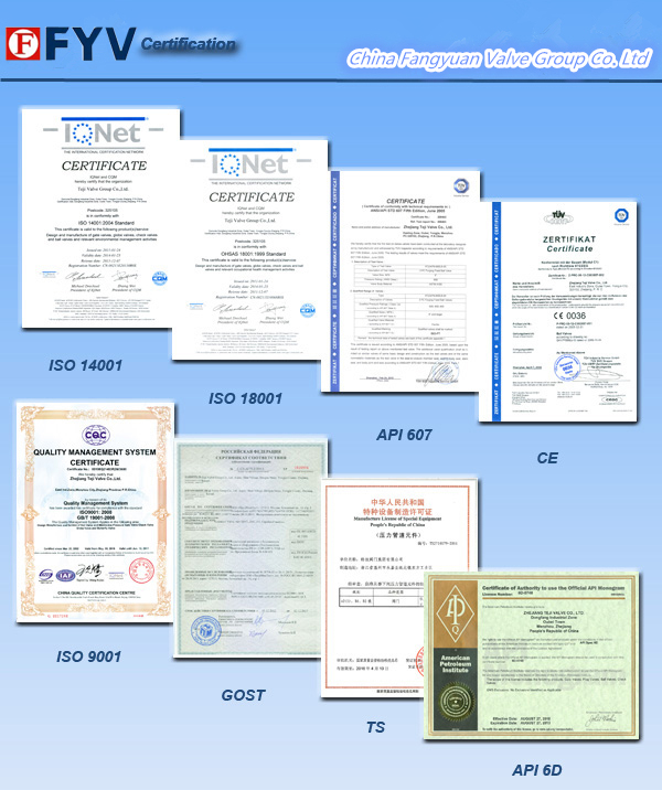 Through Conduit Gate Valve API CE Certificate