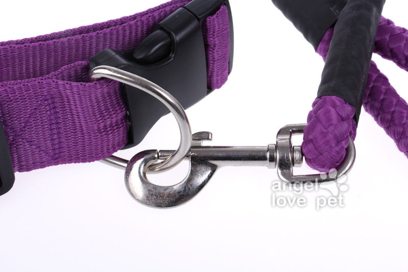 Big Purple Dog Collar, Pet Product