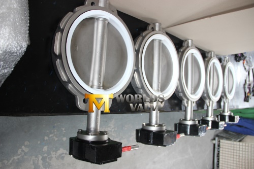 Stainless Steel Wafer/Lug/Flanged Butterfly Valve (CBF01-TA01)
