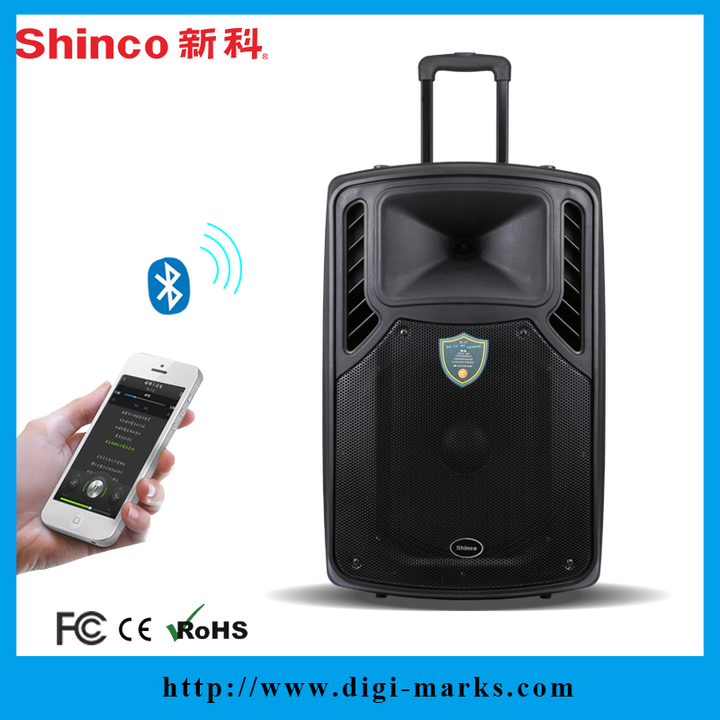 Hot Sale 12 Inch Stage Battery Bluetooth Speaker with Superpower