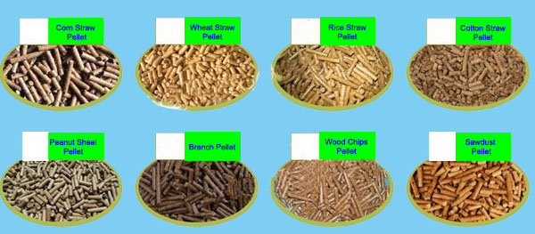 Wood Pelletizing Press Rice Husk Straw Pellet Making Machine