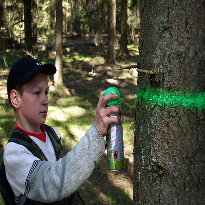 Tree Marker Spray Paint Wood Marker, Fluorescence Marking Spray Paint
