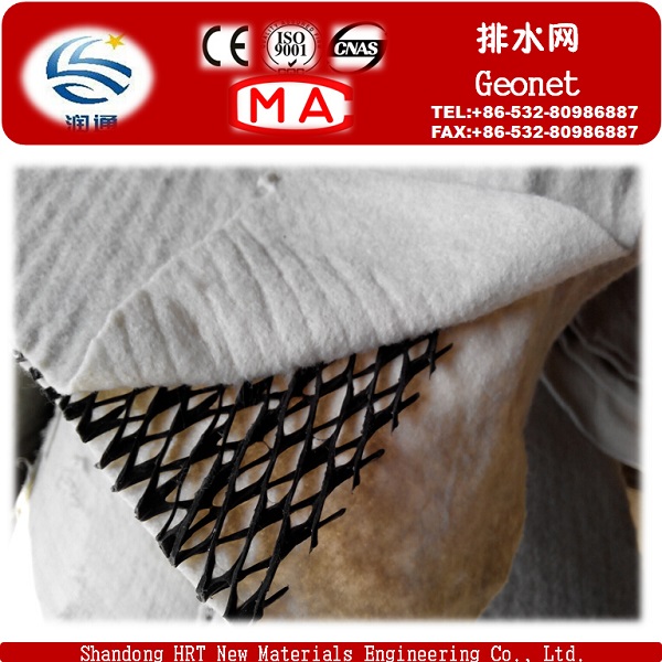 Factory PP Pet Tri-Dimension Compound Geonet for Drainage, Buliding Material