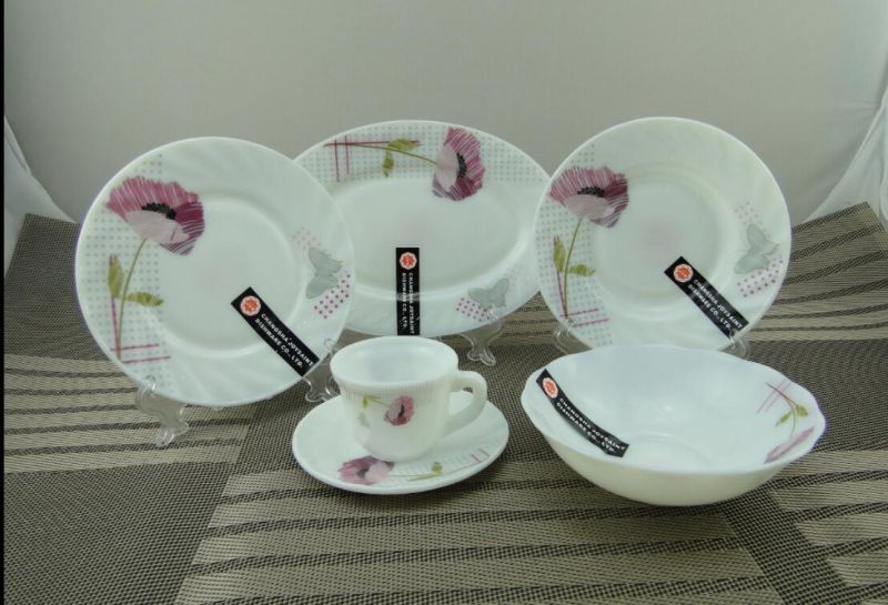 20PCS Opal Glass Kitchenware Set