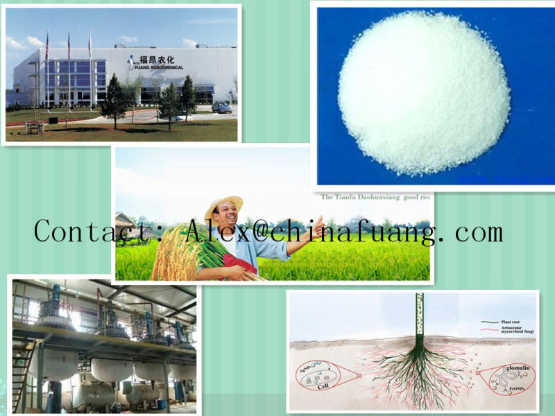 Bactericide Fungicide Germicide Agrochemicals Fungicide 76674-21-0 Flutriafol