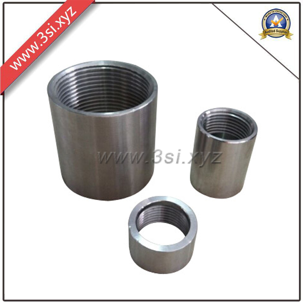 Stainless Steel Female Threaded Nipple (YZF-L113)