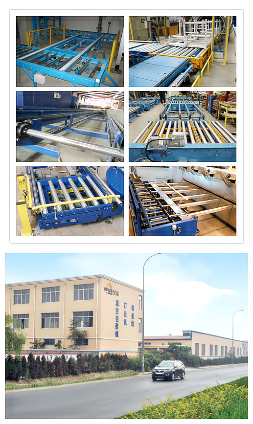 CF122 Series Chain Transfer Conveyor Used for Pallet Transfer