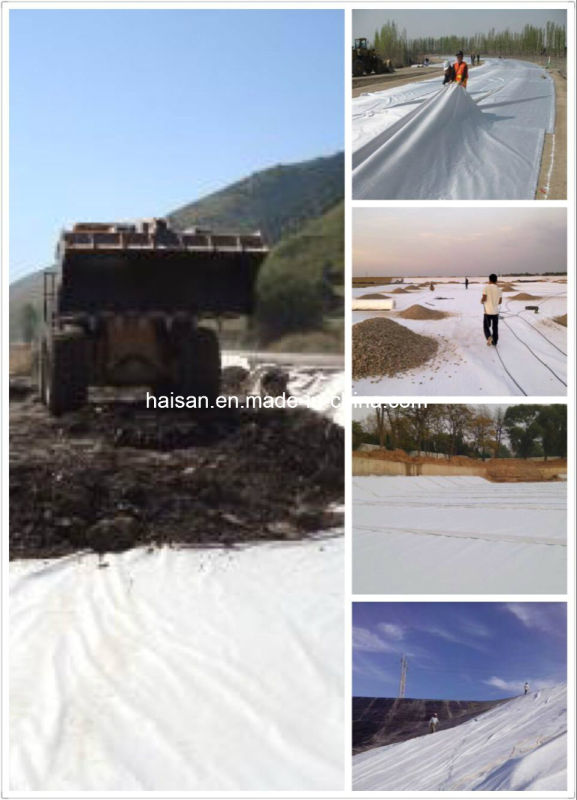 Free Sample Hot Sell Geotextile Used in Drainage