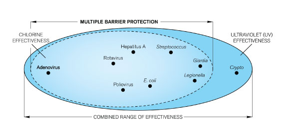 Ultra Violet Water Sterilisation Disinfection for Swimming Pools