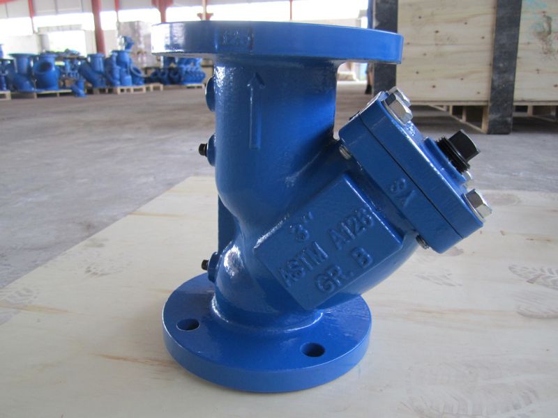 Double Flange Y Strainer, ANSI Class125 and 150