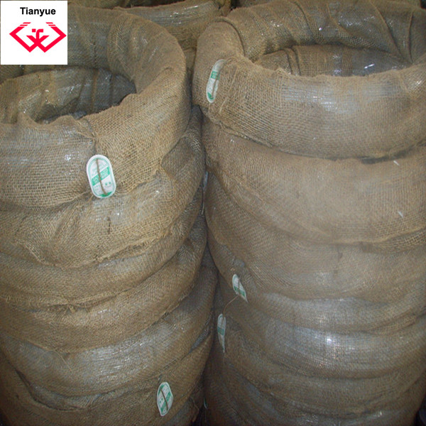 Electric Galvanized Wire (TYH-035)