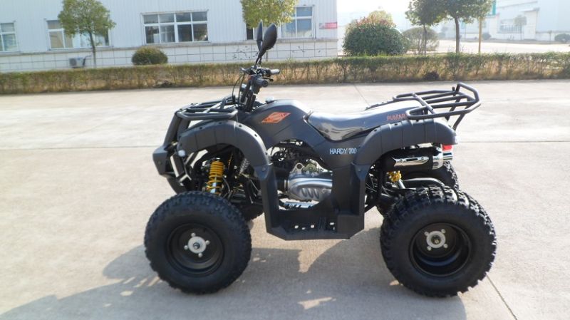 200cc Automatic EEC Utility Racing ATV (MDL200AUG)