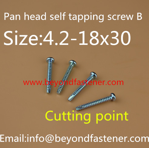 Special Screw Special Bolts Self Tapping Screw