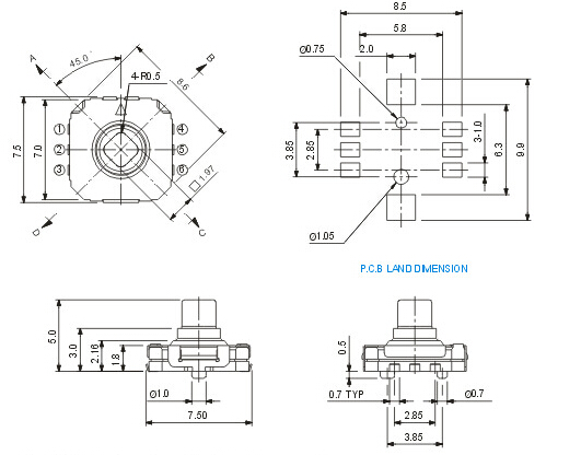 Push Button Switch with AC Lamp and DC Bulb