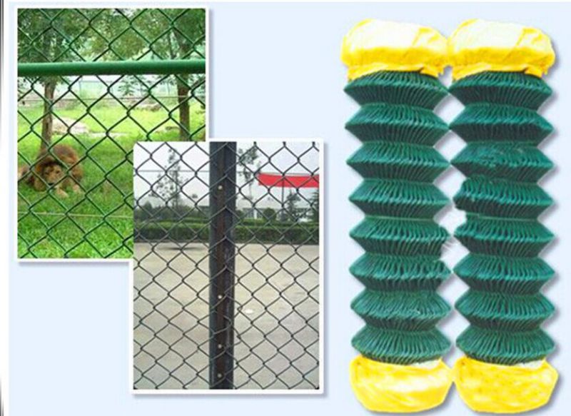 Galvanized Chain Link Fence (diamond wire mesh) , PVC Coated Chain Link Fence